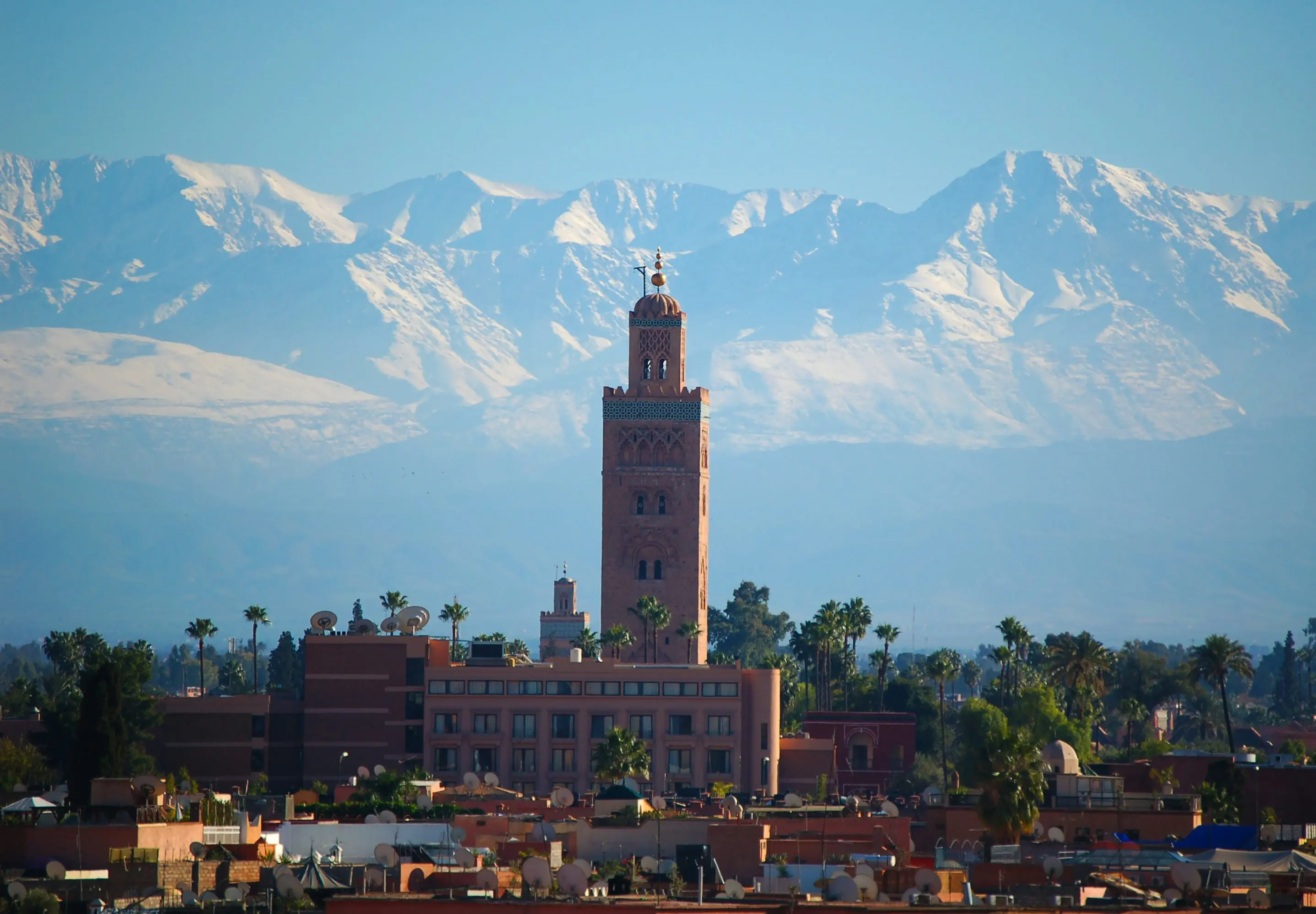 Moroccan Desert Contact
